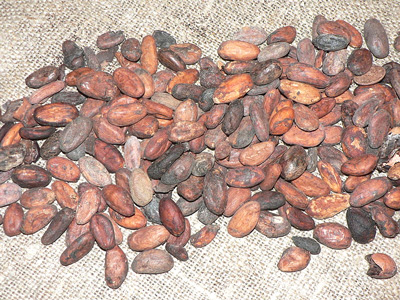 Cocoa Beans' Health Benefits